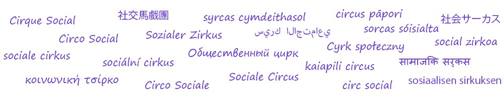 Social Circus International